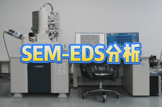 SEM-EDS分析 SEM-EDS分析