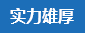 實力 實力