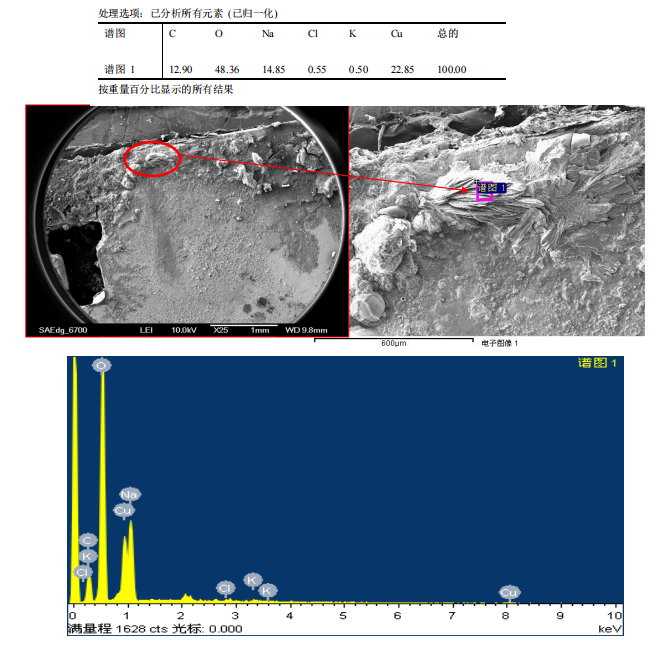 華南檢測|SEM EDS成分分析|13926867016 華南檢測|SEM EDS成分分析|13926867016