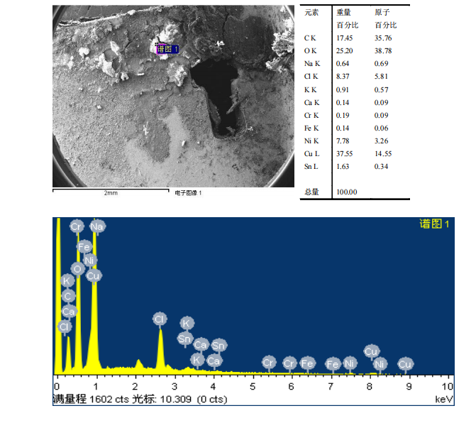 華南檢測|掃描電鏡檢測|EDS能譜檢測 華南檢測|掃描電鏡檢測|EDS能譜檢測