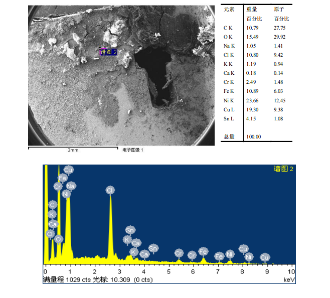 華南檢測|掃描電鏡檢測|EDS能譜檢測 華南檢測|掃描電鏡檢測|EDS能譜檢測