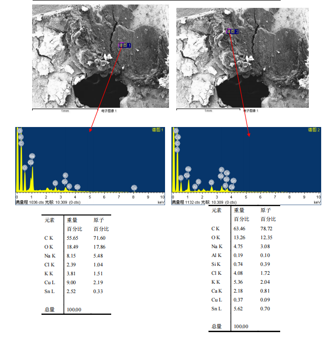 華南檢測|掃描電鏡檢測|EDS能譜檢測 華南檢測|掃描電鏡檢測|EDS能譜檢測