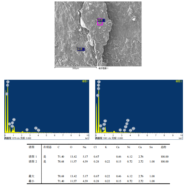 華南檢測|掃描電鏡檢測|EDS能譜檢測 華南檢測|掃描電鏡檢測|EDS能譜檢測