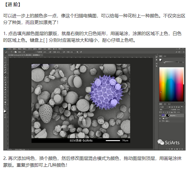 掃描電鏡 掃描電鏡