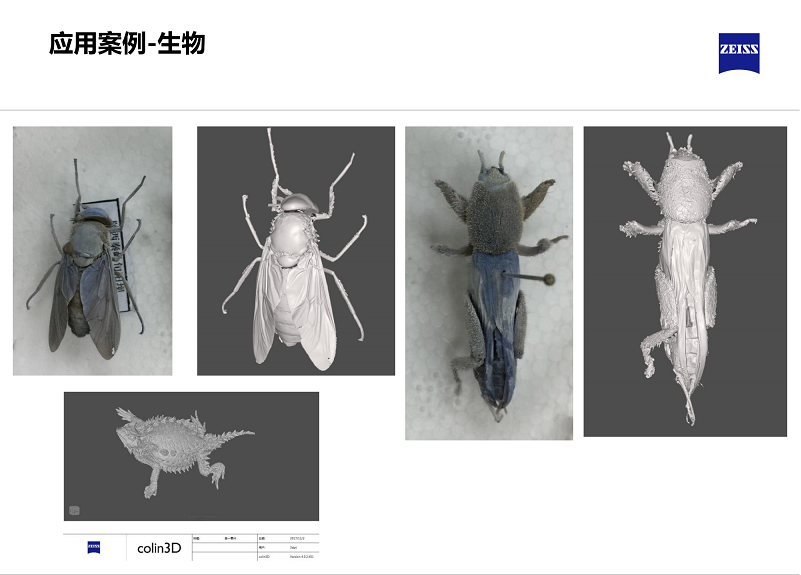 三維藍光掃描-生物 三維藍光掃描-生物