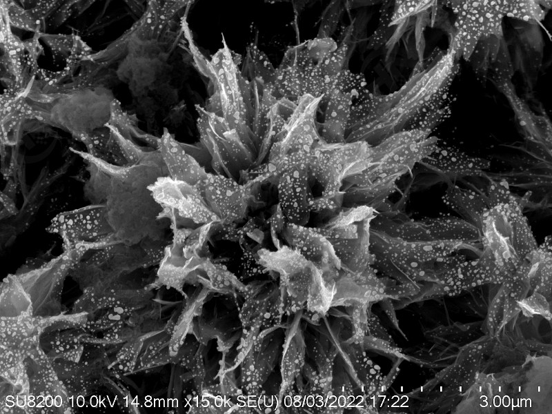 TiO2復合材料表面微觀形貌分析檢測 TiO2復合材料表面微觀形貌分析檢測