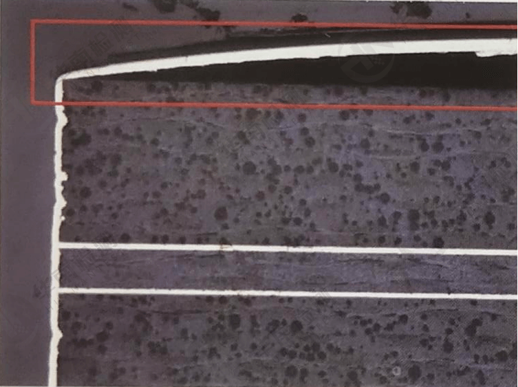 華南檢測實驗室 | 切片分析流程及應用 華南檢測實驗室 | 切片分析流程及應用