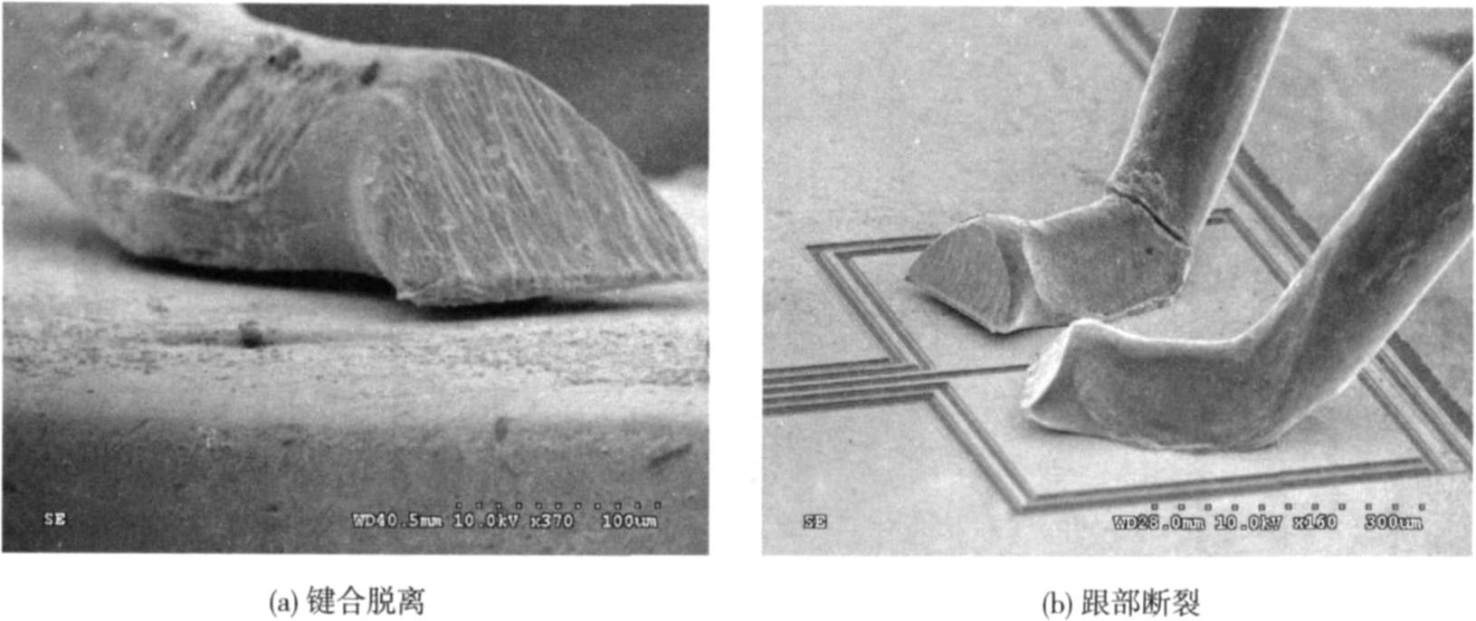 失效分析圖片 失效分析圖片