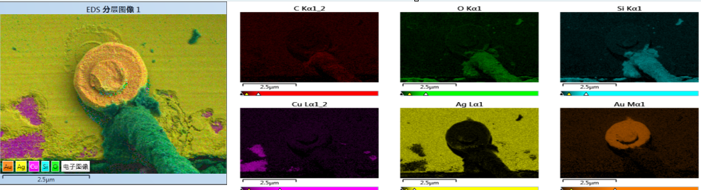 EDS面分析 EDS面分析