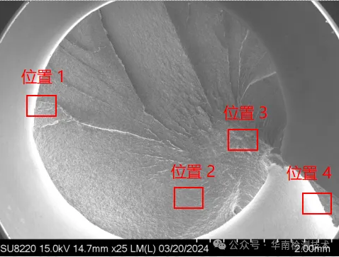 電鏡掃描SEM分析 電鏡掃描SEM分析