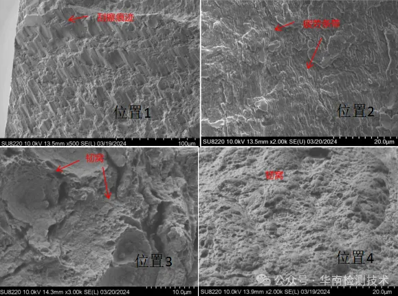 電鏡掃描SEM分析 電鏡掃描SEM分析