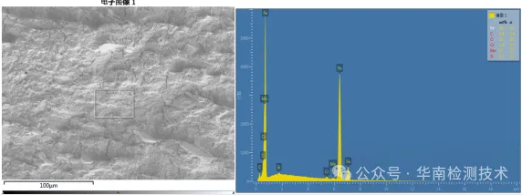 電機蝸桿斷裂失效分析-EDS分析 電機蝸桿斷裂失效分析-EDS分析