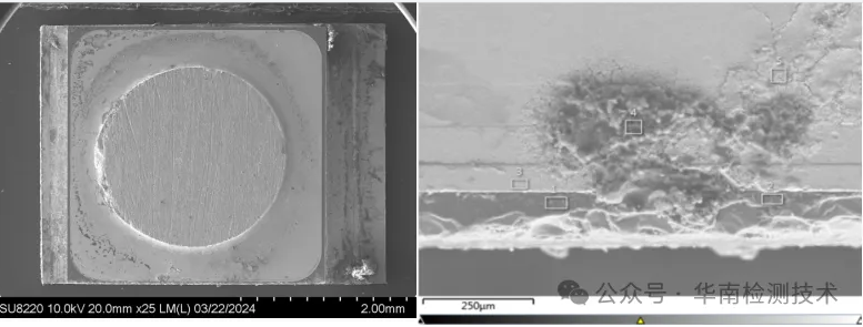 成分分析 成分分析
