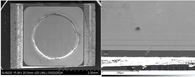 SEM成分分析 SEM成分分析