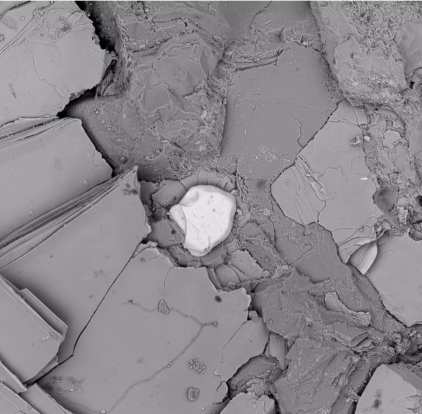 掃描電鏡檢測 掃描電鏡檢測