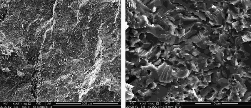 掃描電鏡檢測 掃描電鏡檢測
