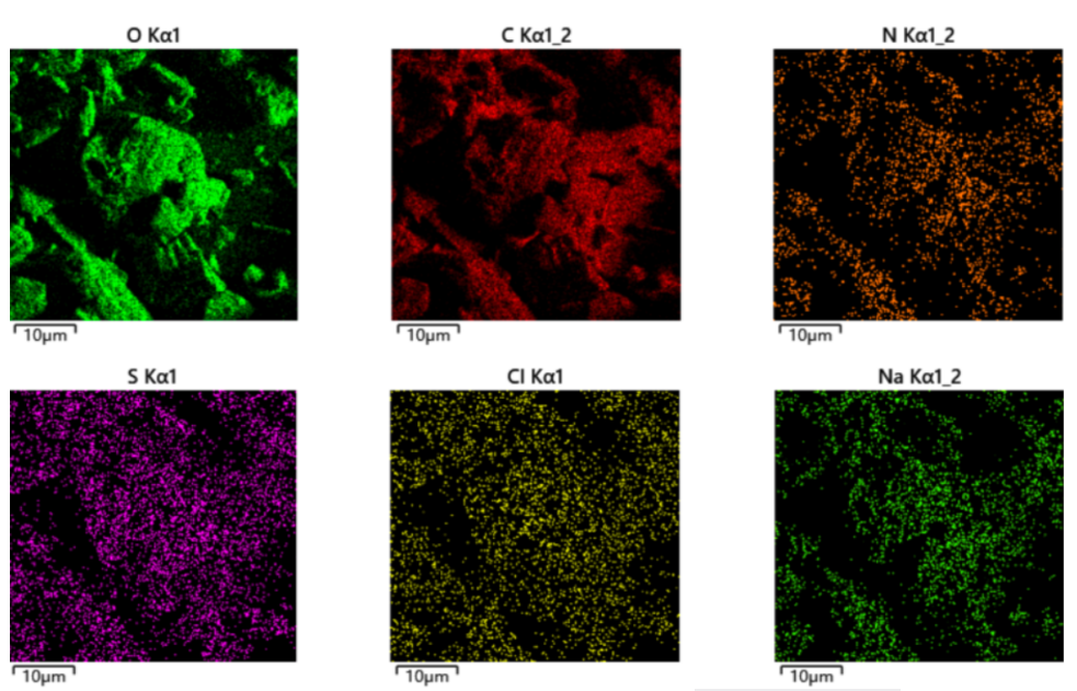 掃描電鏡檢測 掃描電鏡檢測