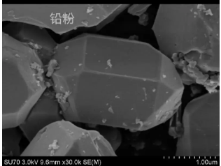 掃描電鏡檢測 掃描電鏡檢測