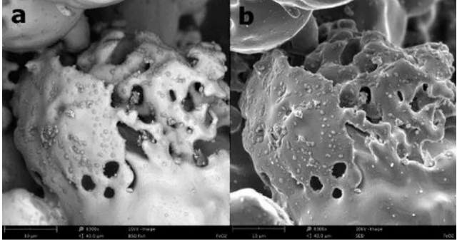 掃描電鏡檢測 掃描電鏡檢測