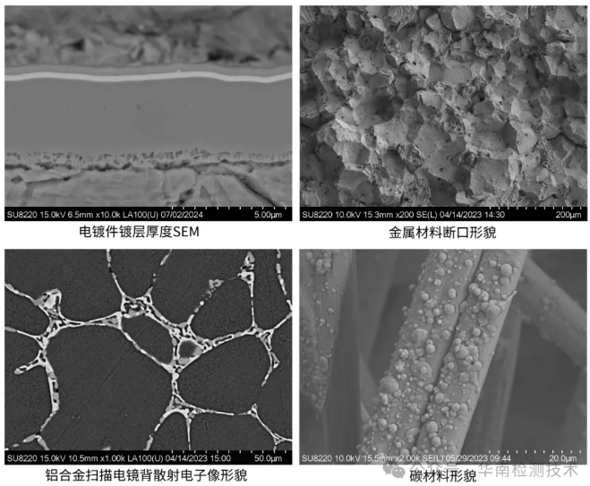 顯微結(jié)構(gòu)分析 顯微結(jié)構(gòu)分析