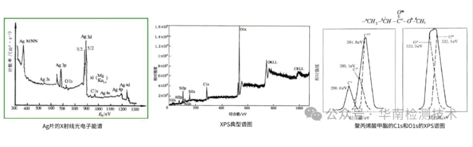 顯微結(jié)構(gòu)分析 顯微結(jié)構(gòu)分析