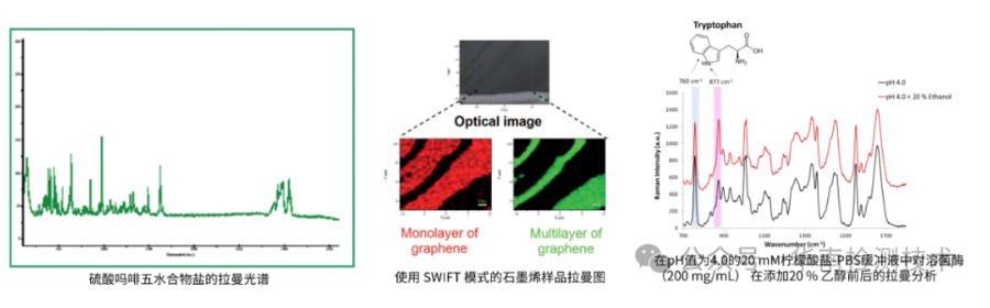 顯微結(jié)構(gòu)分析 顯微結(jié)構(gòu)分析