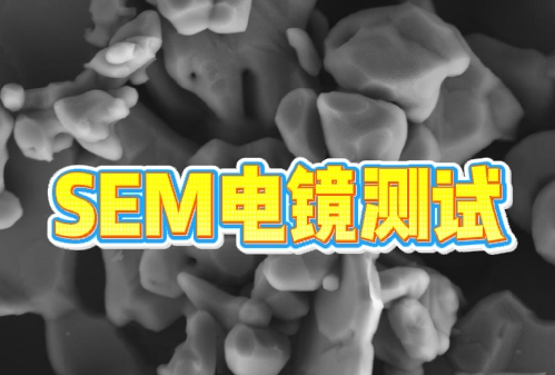 SEM電鏡測試 SEM電鏡測試