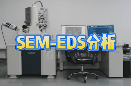 SEM-EDS分析 SEM-EDS分析