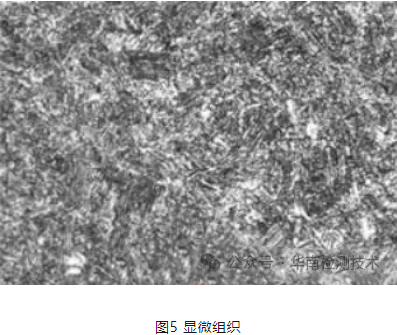 吊鉤斷裂失效分析 吊鉤斷裂失效分析