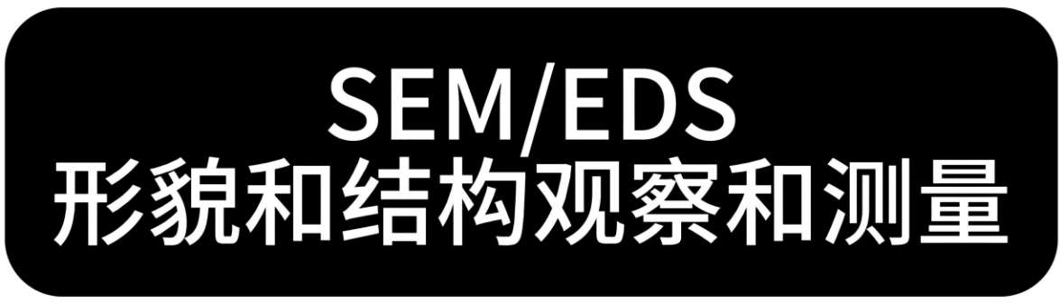 SEM-EDS分析 SEM-EDS分析