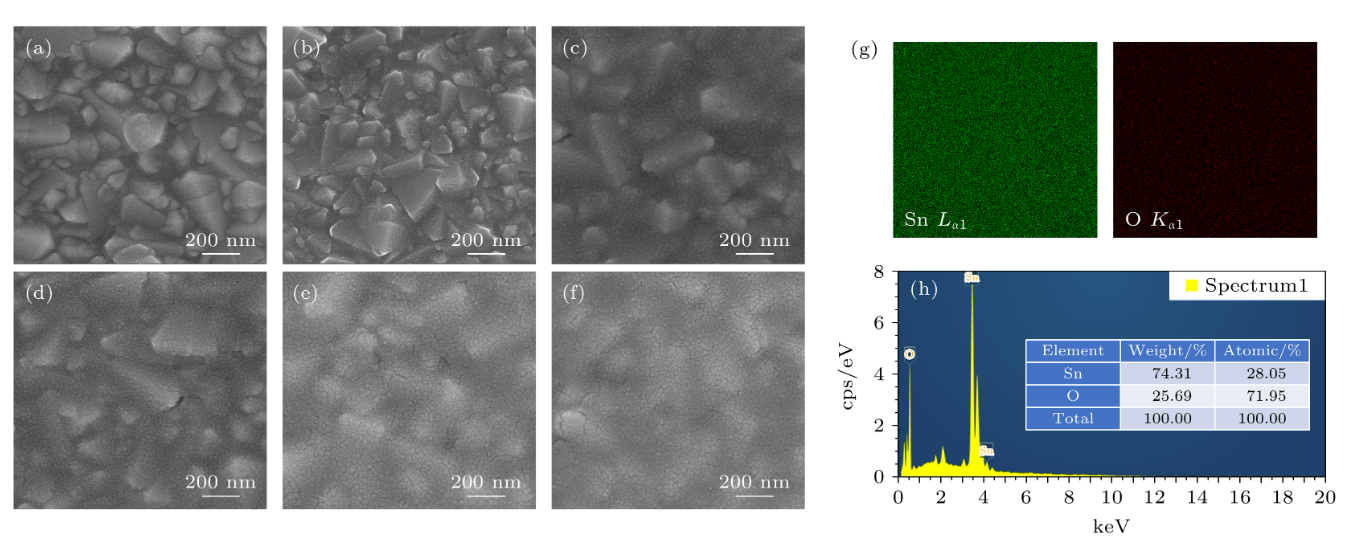 掃描電鏡測試 掃描電鏡測試