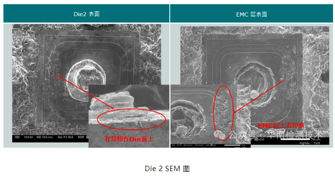 銀枝生長導致短路失效分析 銀枝生長導致短路失效分析