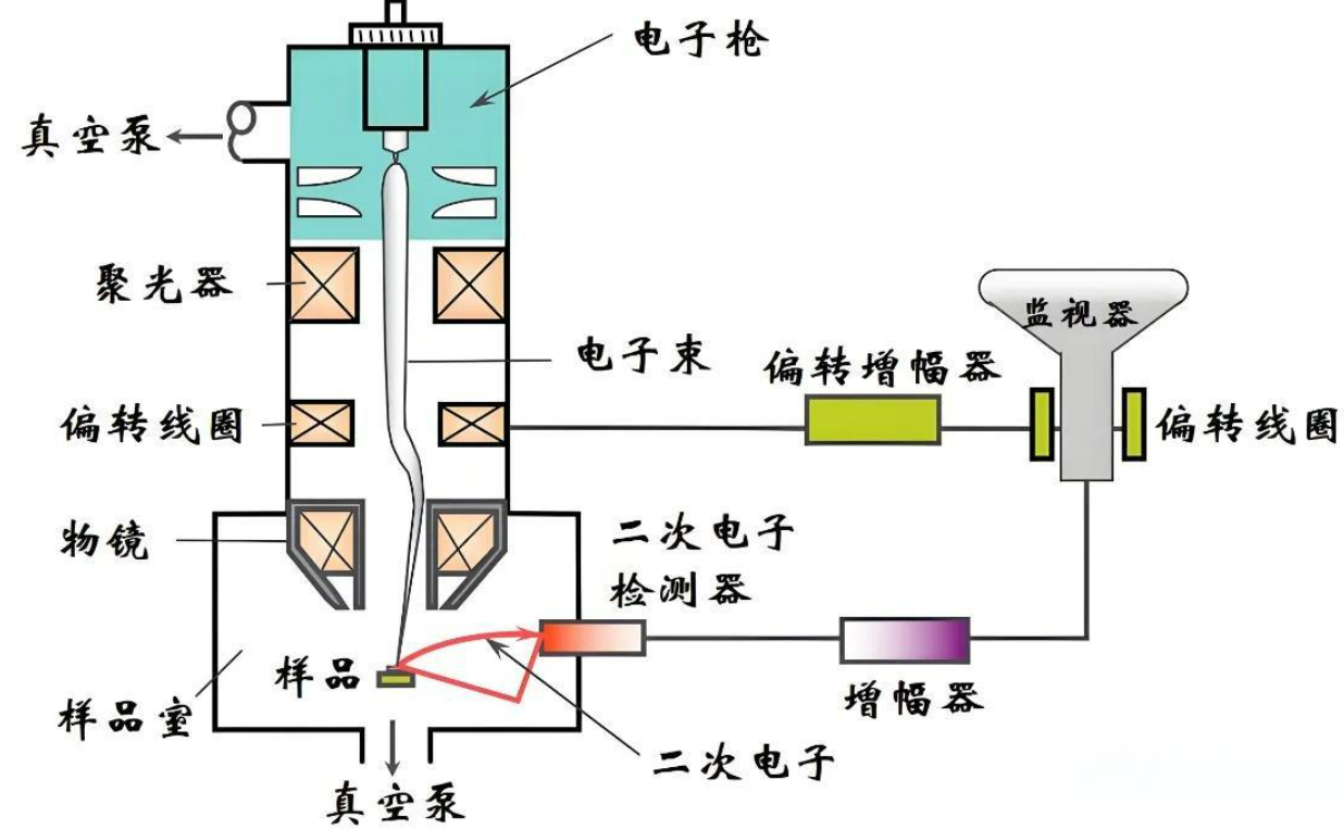 EDS能譜分析 EDS能譜分析