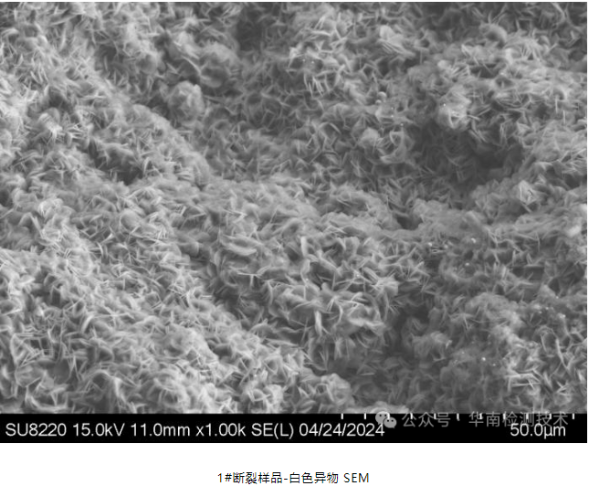 蓄電池負極斷裂失效分析 蓄電池負極斷裂失效分析